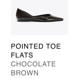 Chocolate Brown Pointed Toe Leather Zara Flats
